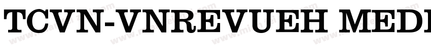 TCVN-VnRevueH Medium字体转换